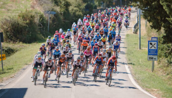 Professional female cyclists in a peloton