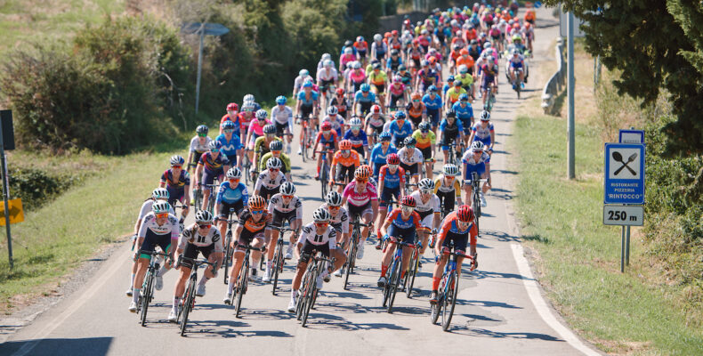 Professional female cyclists in a peloton