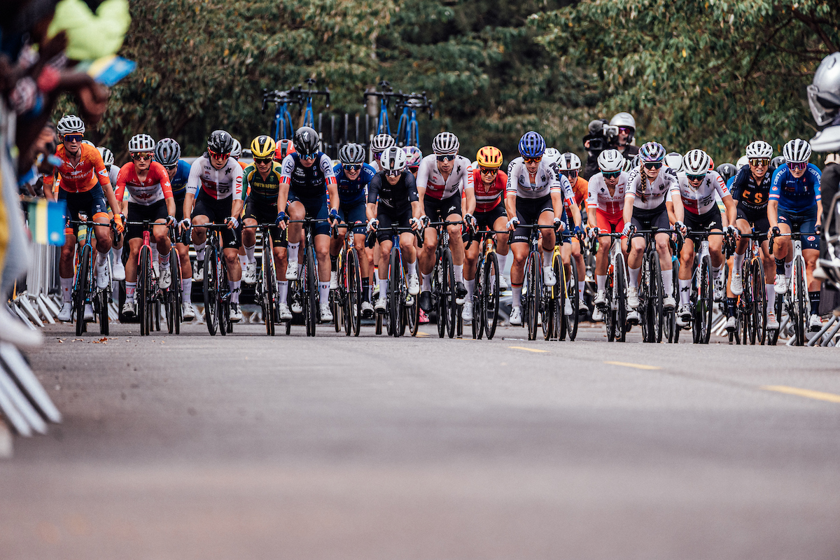 The Cyclists’ Alliance Partners with Morgan Sports Law 
